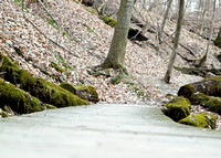 Bridge path