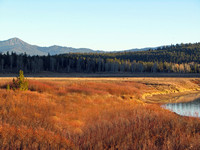 Willows area, GTNP